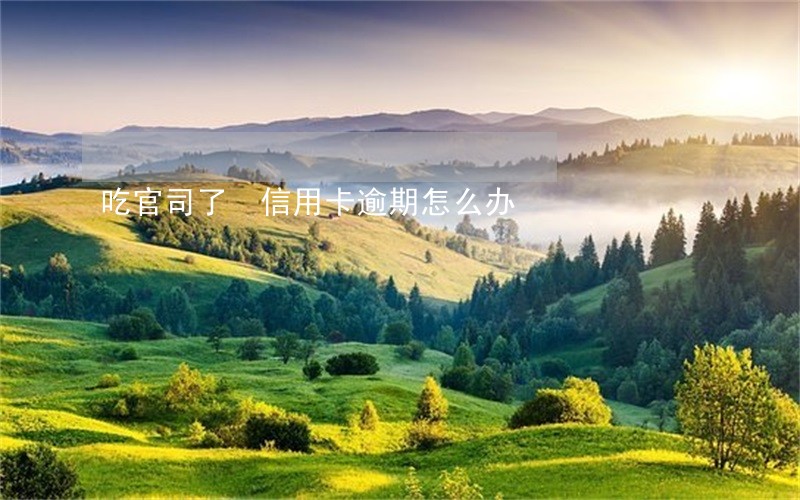 吃官司了 信用卡逾期怎么办 吃官司了 信用卡逾期怎么办